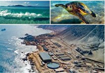 توسعه دریا‌محور باید با حفاظت سرمایه‌های دریایی باشد/ جزایر نیازمند حفاظت ویژه