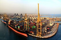 کشف ۴۰ کانتینر برنج احتکار شده در یکی از بنادر هرمزگان