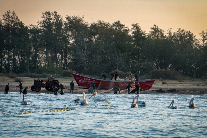 فعالیتهای دریایی در خزر ممنوع شد فعالیتهای دریایی در خزر ممنوع شد