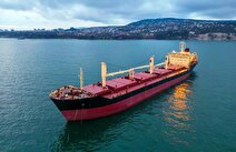 چشم‌انداز بازار جهانی حمل‌ونقل فله خشک