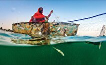 احداث بندر ماهیگیری جدید در جزیره مینو