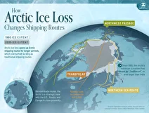 کاهش یخ‌های قطب شمال، مسیرهای کشتیرانی جهانی را دگرگون می‌کند + اینفوگرافی