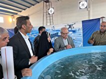 سرمایه‌گذاری ۱۵۰ میلیارد تومانی برای خودکفایی در صنعت «پرورش ماهی در قفس»