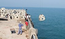 چگونگی استقرار زیستگاه‌های مصنوعی در سواحل هرمزگان