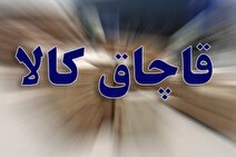 ۱۸۰ میلیارد ریال کالای قاچاق در هرمزگان کشف شد