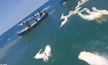 کشتی حامل هزاران گوسفند در خلیج عدن واژگون شد