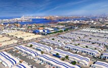 فعالیت ۱۱ هزار شرکت در منطقه آزاد جبل علی