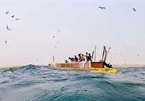 قشم، رتبه نخست صید ساردین‌ماهیان کشور را دارد