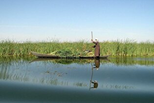 ۵۹ درصد تالاب هورالعظیم آبگیری شد