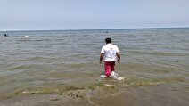 نجات ۱۱۷ نفر از غرق شدگی در خزر
