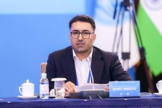 دستور قضایی برای ترخیص فوری ۱۴ هزار خودروی وارداتی/ تشکیل کارگروه ویژه حادثه بندر شهید رجایی