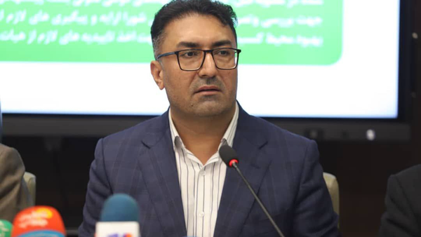 امکان حل مشکلات بنادر، گمرکات و شیلات با تفویض اختیار به استانداران وجود دارد