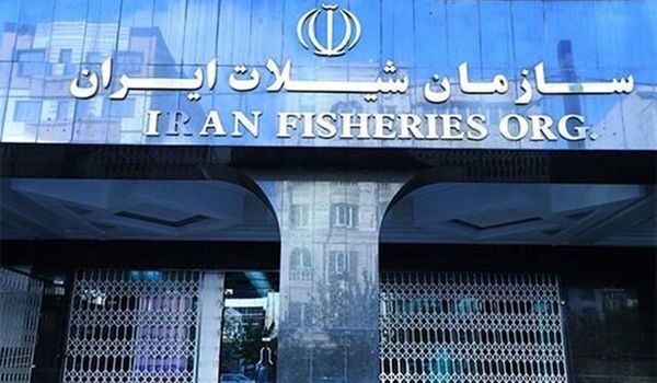 انتقاد نماینده صیادان هرمزگانی از مصوبه انحلال سازمان شیلات