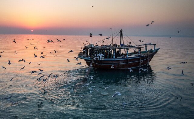 خلیج فارس فردا مواج است