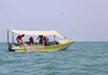 توقیف قایق صید غیرمجاز در سواحل خلیج‌فارس بوشهر