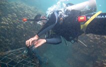 پاکسازی بستر خلیج‌فارس توسط غواصان در هرمزگان