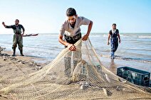 آغاز بزرگترین عملیات صید در خزر با ۸ هزار و ۹۰۰ نفر صیاد