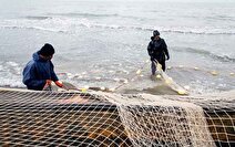 امسال؛ صیادان کشور تحت پوشش بیمه دولتی قرار می‌گیرند