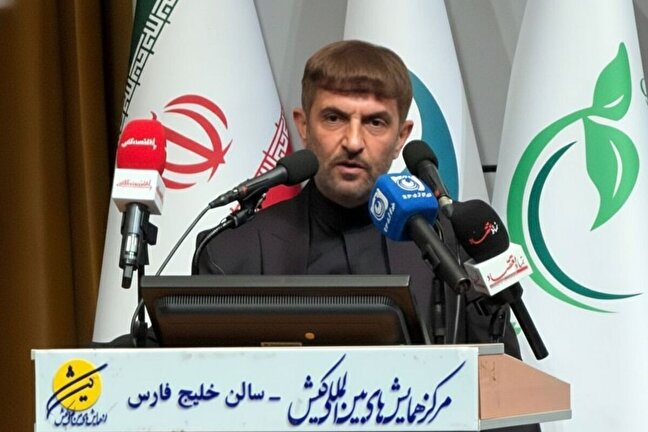 ضعف در قواعد حکمرانی مانع رشد اقتصاد دریا محور