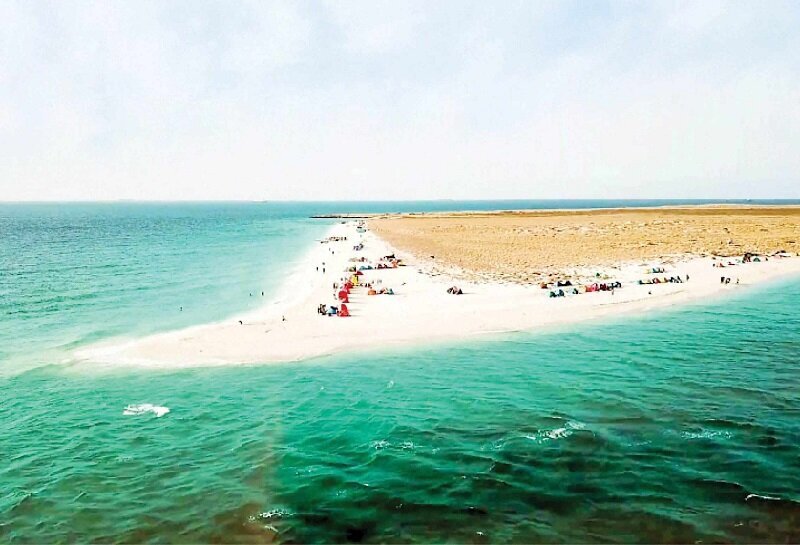 شبمانی در شیدور ممنوع است/ لزوم ساماندهی سواحل غرب استان و مدیریت ورود گردشگران شبمانی در شیدور ممنوع است/ لزوم ساماندهی سواحل غرب استان و مدیریت ورود گردشگران