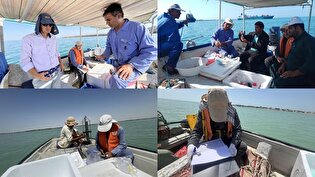 پایش آلودگی‌های دریایی مکران در ۱۵۶ ایستگاه انجام شد