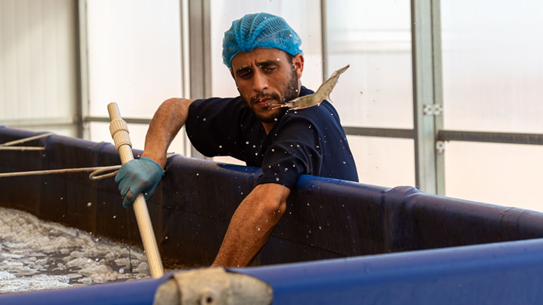 توسعه اقتصاد آبی مراکش با محوریت آبزی‌پروری