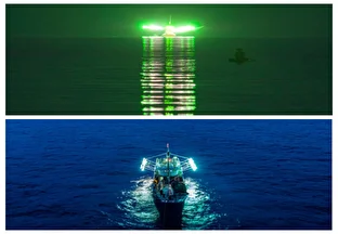 ضرورت توقف صید شب‌چراغی برای حفظ معیشت صیادان و ذخایر دریایی