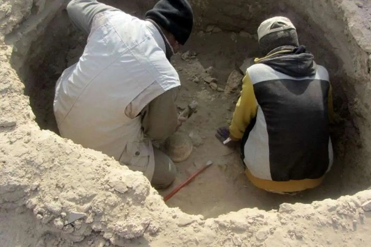 ۳ محوطه تاریخی خلیج فارس امسال کاوش میشود ۳ محوطه تاریخی خلیج فارس امسال کاوش میشود