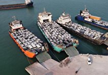 ترانزیت بیش از ۱۵۱ هزار دستگاه خودرو از بندرلنگه به آسیای میانه و عراق