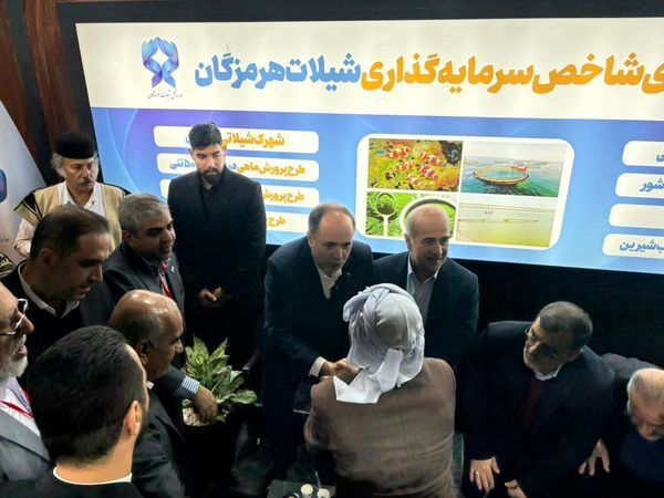 توسعه بندرگاه‌های صیادی در اولویت وزارت جهاد کشاورزی