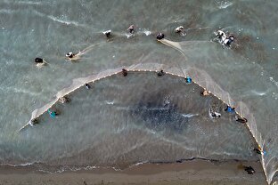 پایش آلودگی‌های دریایی در سواحل هرمزگان و خوزستان