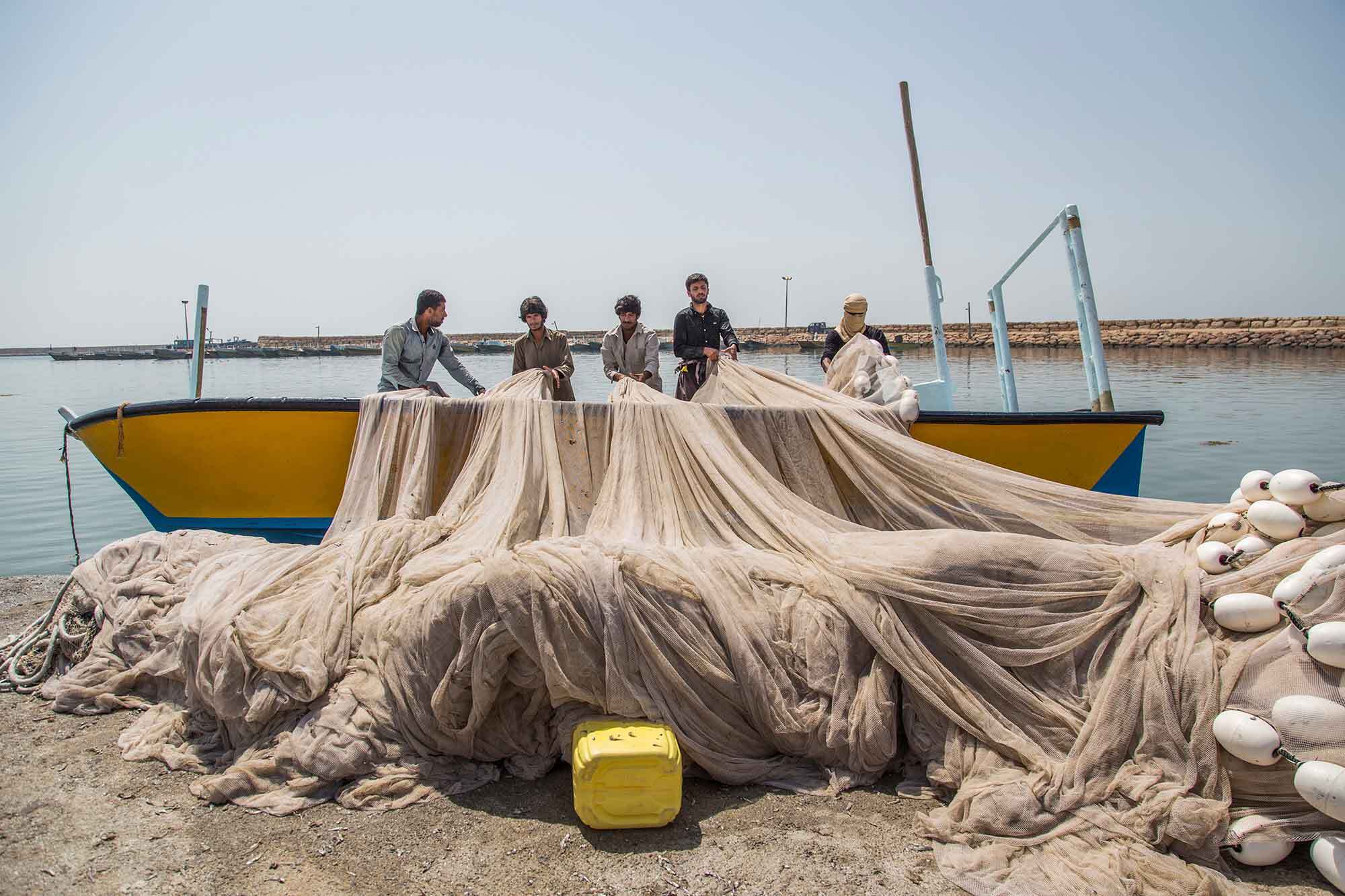 رشد قابل توجه صید کفال ماهیان دریای خزر