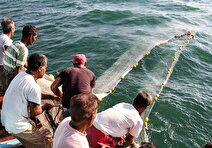 صدور مجوز صیادی آب‌های دور در دستور کار مجلس قرار دارد