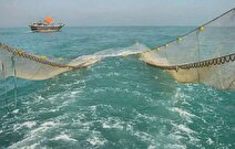 غرق شدن قایق صیاد مینابی در برخورد با شناور صید ترال