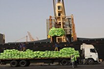 پهلودهی پانزدهمین شناور کالای اساسی در بندرشهید رجایی