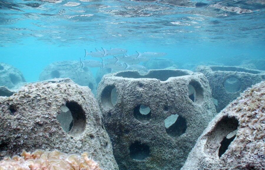 انجام اقدامات اولیه نصب زیستگاههای مصنوعی در آبهای سیریک انجام اقدامات اولیه نصب زیستگاههای مصنوعی در آبهای سیریک